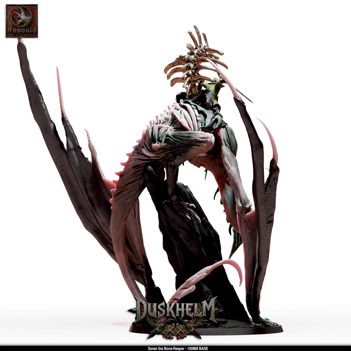 Soren and The Bone Reaper