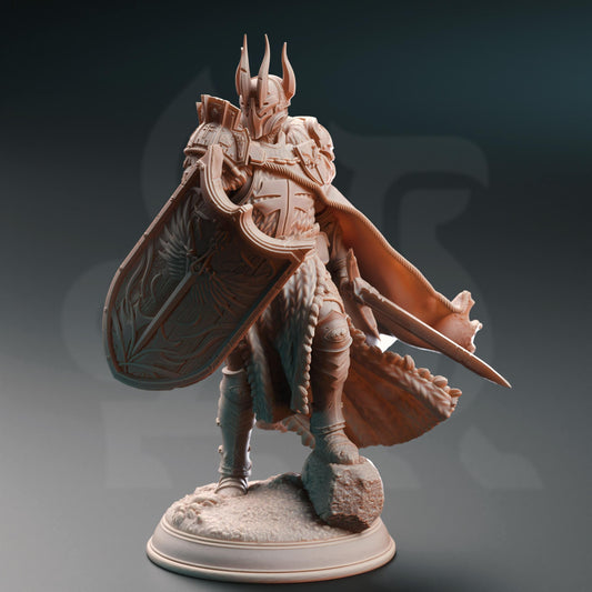 Caedes, Erdydion's Chosen Paladin