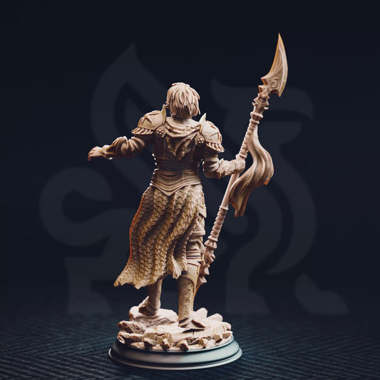 Vendimar Thyran, The Dark Sun Paladin