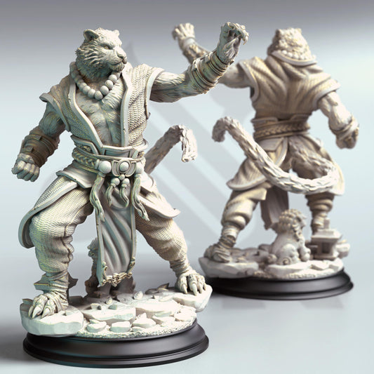 Raiko, Tiger Monk