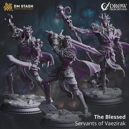 The Blessed, Servants of Vaezirak