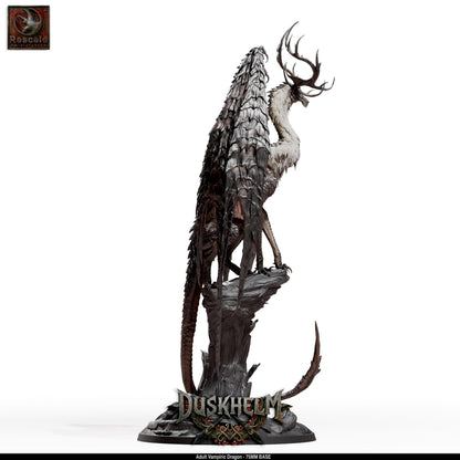 Adult Vampiric Dragon