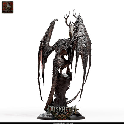Adult Vampiric Dragon