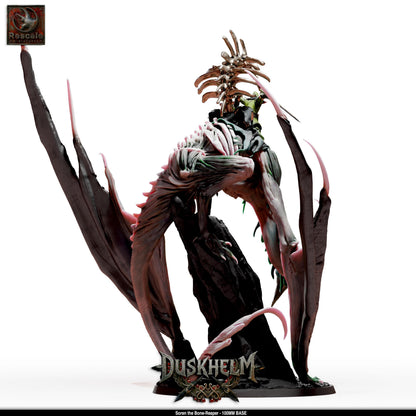 Soren and The Bone Reaper