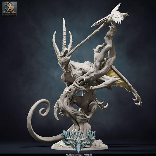 Adult Cameleon Dragon